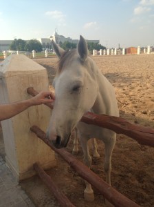 Photo Nov 23, 14 26 36