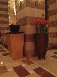 Photo Nov 23, 17 14 11