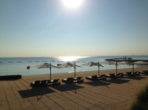 Photo Nov 24, 8 05 56